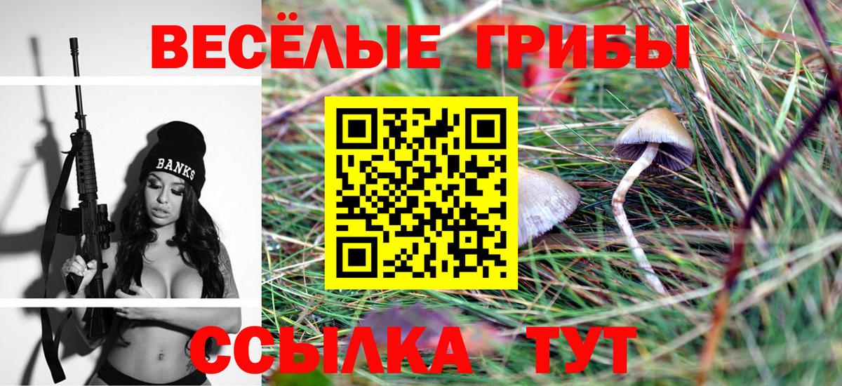 Галлюциногенные грибы Cubensis Новороссийск
