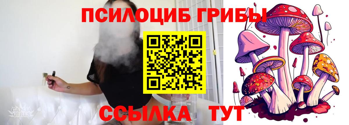 Галлюциногенные грибы Magic Shrooms  Вход с VPN  Новороссийск  Псилоцибиновые грибы GOLDEN TEACHER 