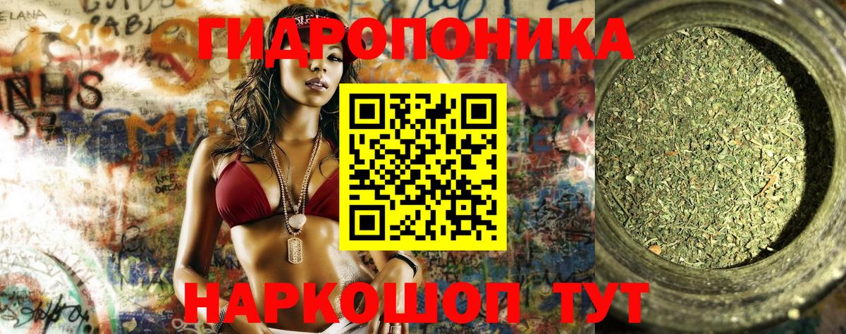 Канабис LSD WEED  Бошки Шишки AK-47  Вход с VPN  Новороссийск  Конопля Ganja 